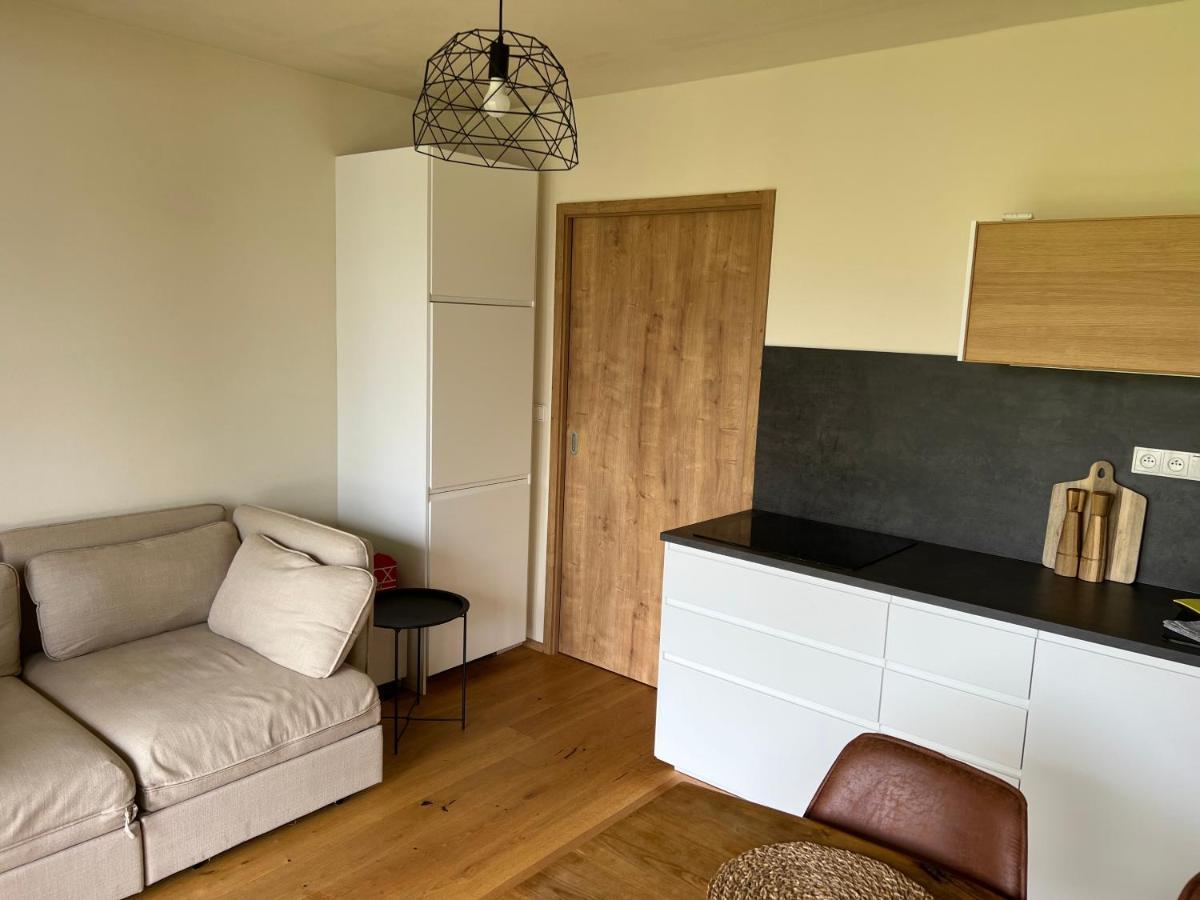 Apartman Boruvka Железна-Руда Экстерьер фото