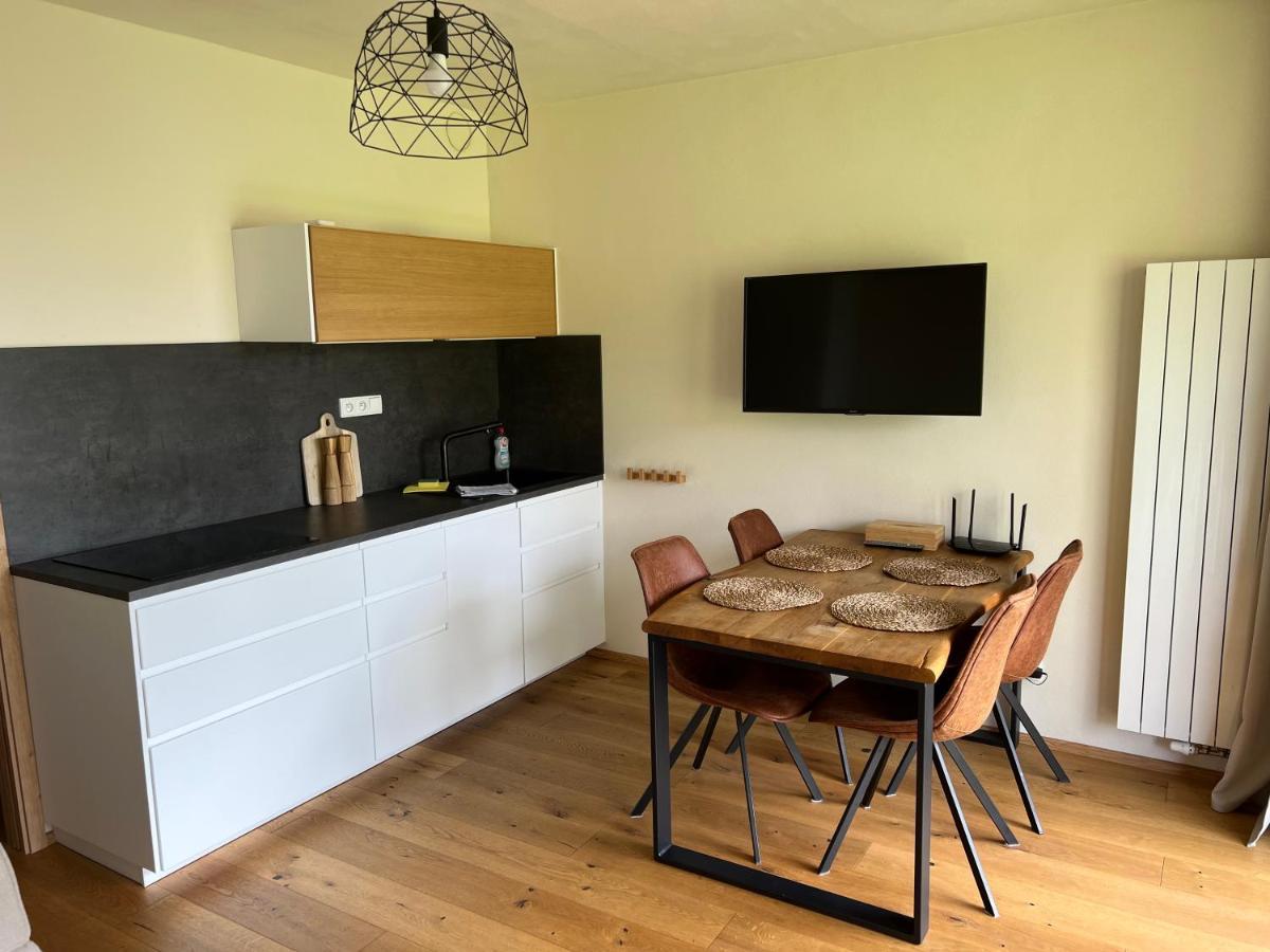 Apartman Boruvka Железна-Руда Экстерьер фото